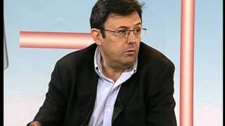 ¿QUÉ DEBEMOS HACER ANTE LAS PICADURAS