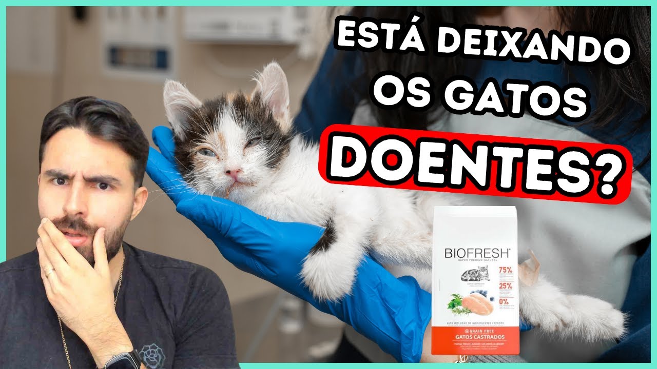 RAÇÃO BIOFRESH CAUSANDO PANCREATITE EM GATOS?