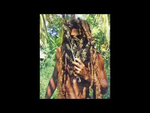 Sir Troyan / Roots Reggae Dub Steppas / Mix / PART #5