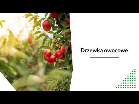 Leszek Kempa Gospodarstwo ogrodniczo-rolne - video