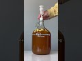 HOW TO MAKE APPLE SPICE MEAD START TO FINISH