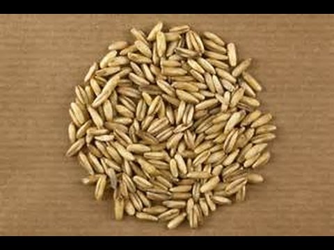 Harm und Vorteile von Knoblauch bei Diabetes Diabetes, Schmerzen in der Brust