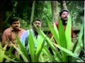Nazee Varusham 16 Poo Pookum Maasam SD Mp4