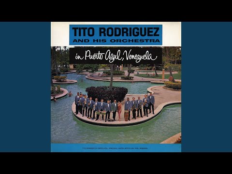 No Suenes Despierto | Doug Beavers Y Su Conjunto Rovira Lyrics, Meaning & Videos