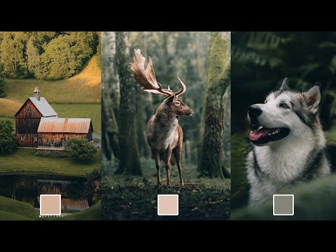 Lightroom Editing Tutorial, Vibrant Cohesive Landscapes - FREE Preset & DNG, CURVES @michaelkagerer