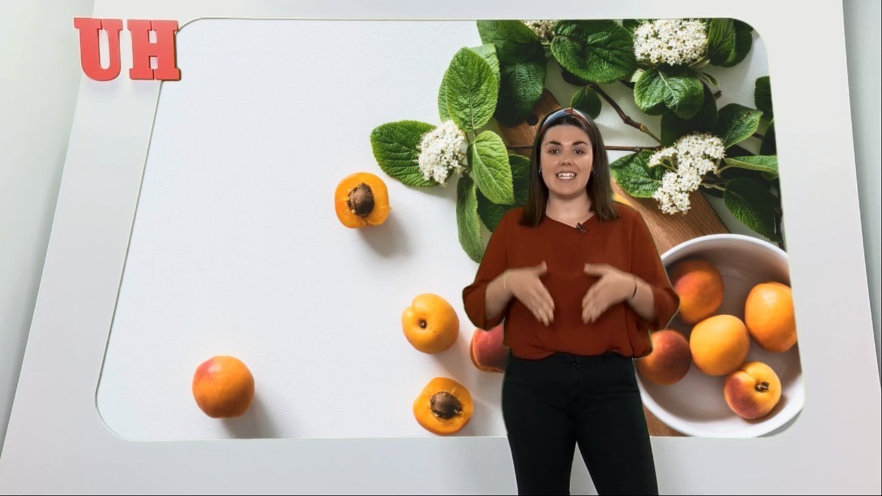 Ferias en Mallorca: Fira de l'Albercoc en Porreres