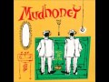 Mudhoney- Blinding Sun 