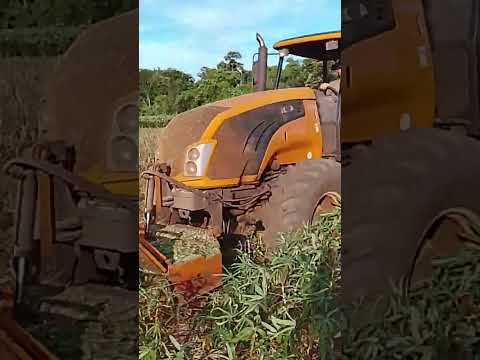 Planaltina Do Paraná O Arenito Agro