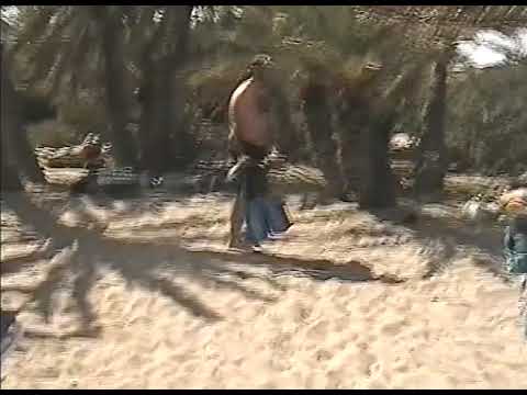 Krit ( plaža Vai) - tropski raj