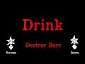 Destroy Boys - Drink - Karaoke
