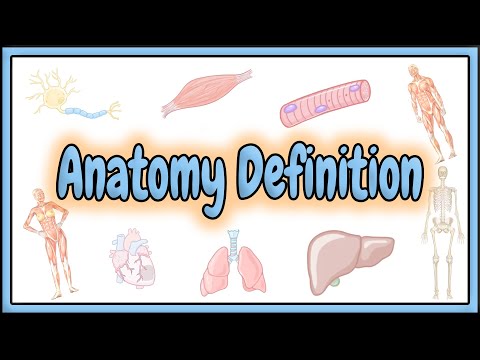 Digital Anatomy Definition