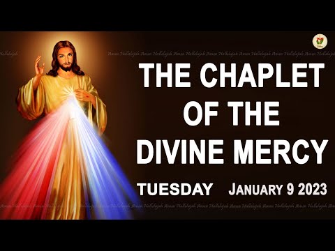 Chaplet of the Divine Mercy I Tuesday January 9 2024 I Divine Mercy Prayer I 12.00 PM