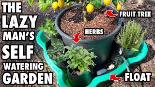 The Lazy Man’s Self Watering Garden