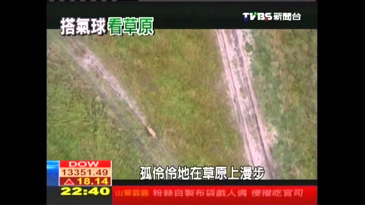【動物大遷徙】熱氣球空看大草原 夜探野生非洲象