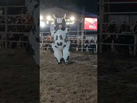 feria titular de san Rafael las flores