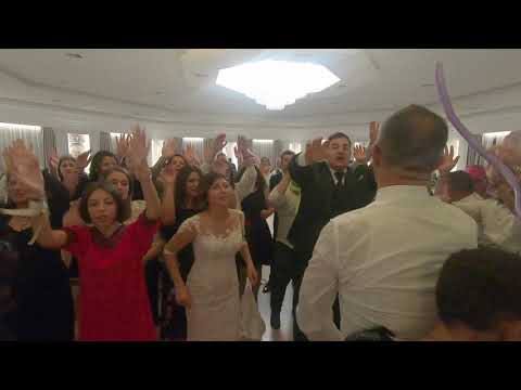 Divertimento al Matrimonio - Animazione Travolgente - Balli di Gruppo Francesco Barattucci Showman