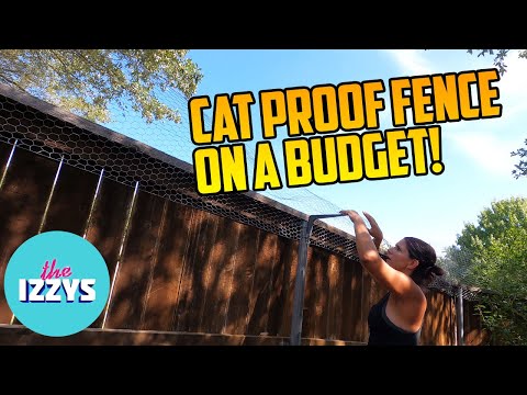 Cat Proofing a MASSIVE Back Yard under $300?