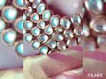 TAMIL HOT CHANNEL Bollywood Actress Hot Navel Video