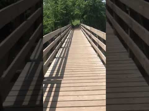 Walking the suspension bridge. Fun!