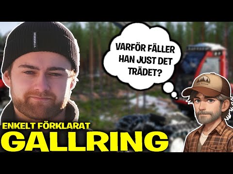 Lär Dig Köra Skördare | Avsnitt 4 | Gallring