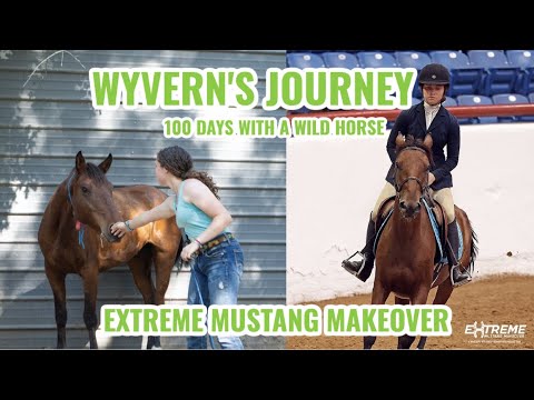 Wild Mustang's Journey to the Extreme Mustang Makeover | 100 Days with Wyvern
