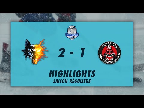 Brûleurs de Loups de Grenoble 2-1 Scorpions de Mulhouse - Highlights - Synerglace Ligue Magnus 22/23