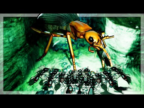 What Happens If Little Black Ants Battle Bombardier Beetles?