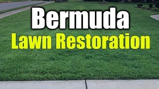 Bermuda Lawn Restoration