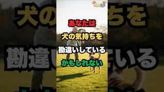 犬は本当はこう思っています。気づいていますか？//#犬の気持ち#犬の本音#犬との暮らし#ペットとの生活#犬好きな人と繋がりたい#癒し動画#動物好き#犬あるある