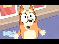 Halloween Screams Compilation Bluey