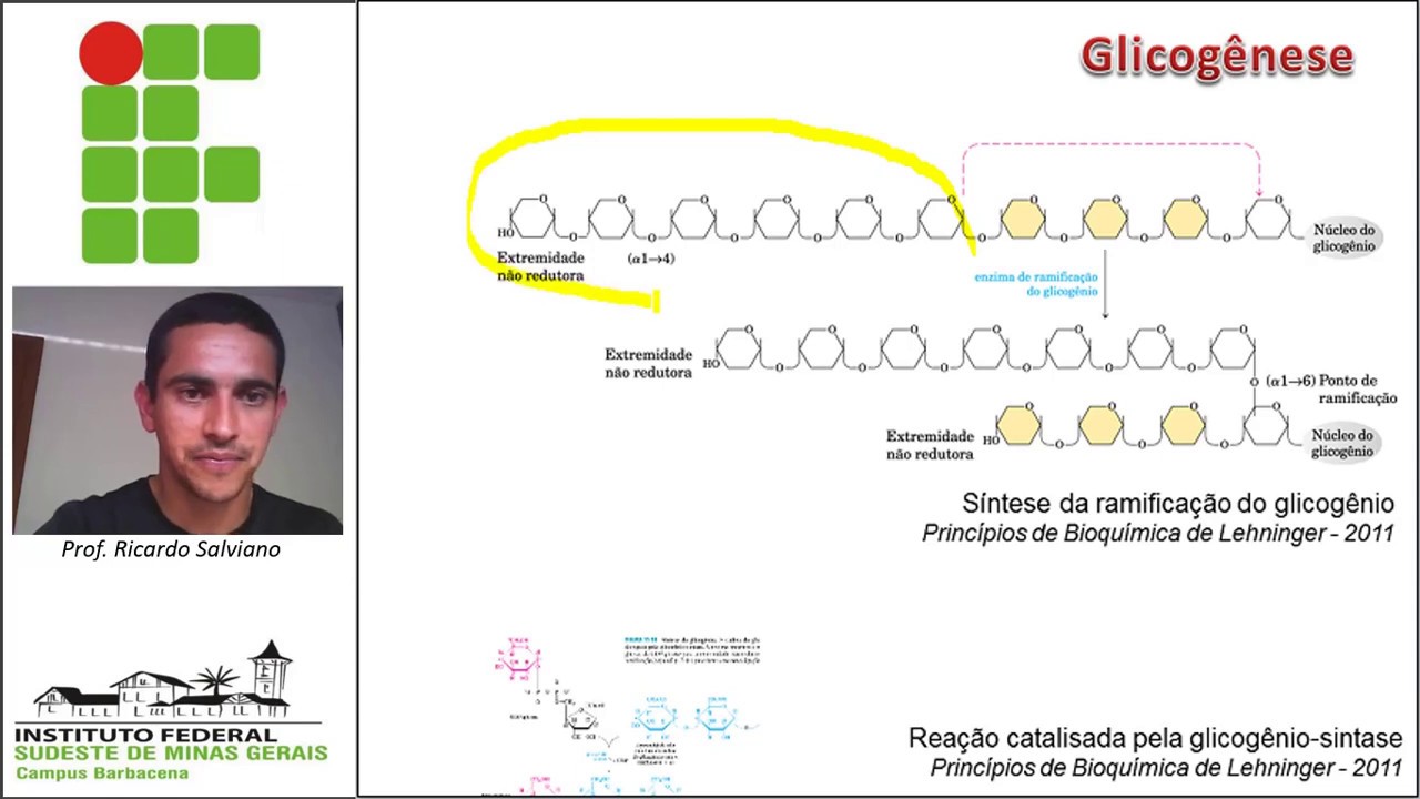 Metabolismo carboidratos parte V - Glicogênese e Glicogenólise