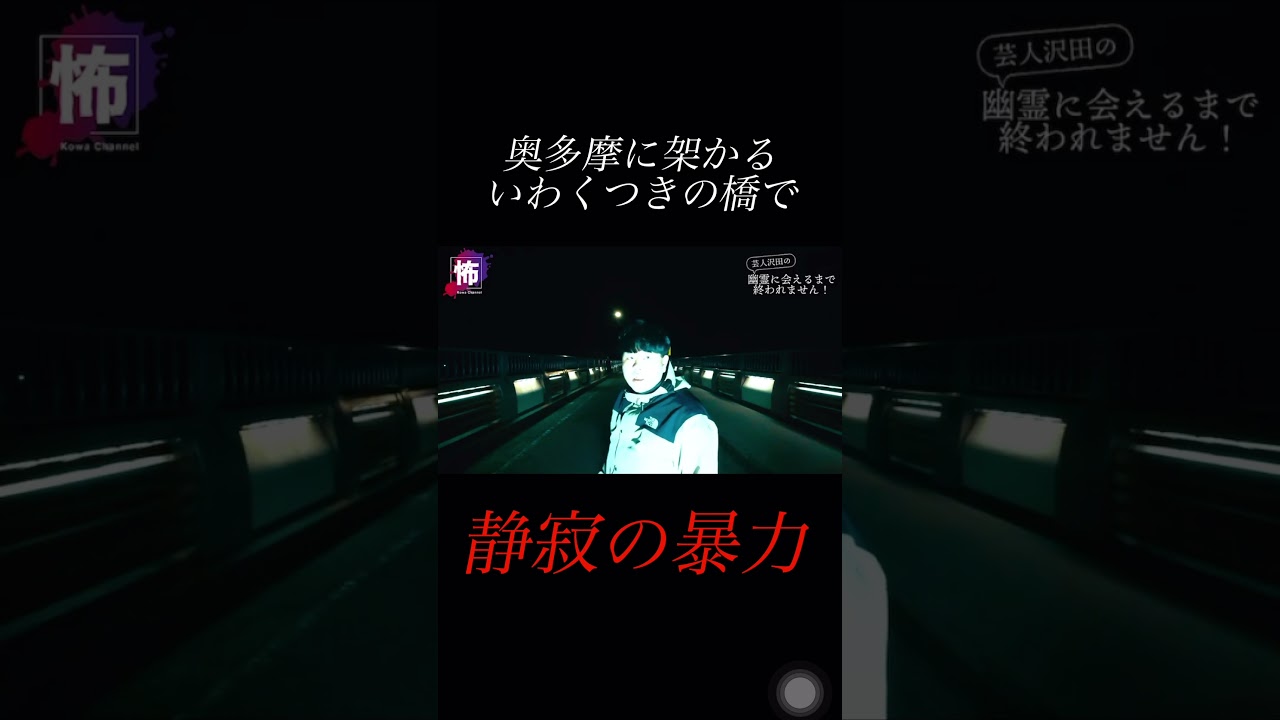 【⬆️本編はコチラ⬆️】奥多摩橋 静寂の暴力がヤバすぎる