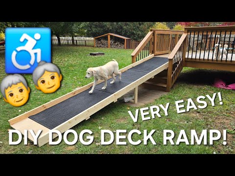 DOG GETTING OLD!? DIY DECK RAMP!