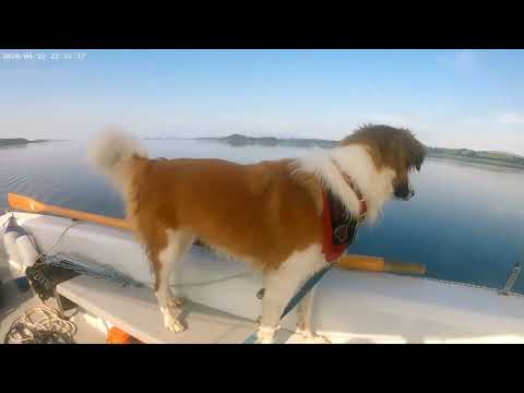 Wayfarer Dinghy Cruising - Lismore, Firth of Lorn - Summer 2022