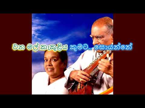 Bambarindu Bambarindu Kumata Wadinne ( Lyrics Song ) Nanda Malani / W D Amaradeva