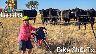 Bike Shorts – The Week That Was - 53