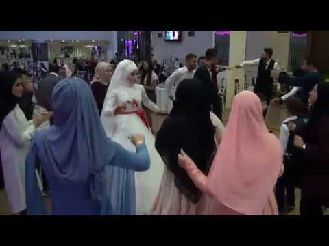 Alyarim---Erik dalı