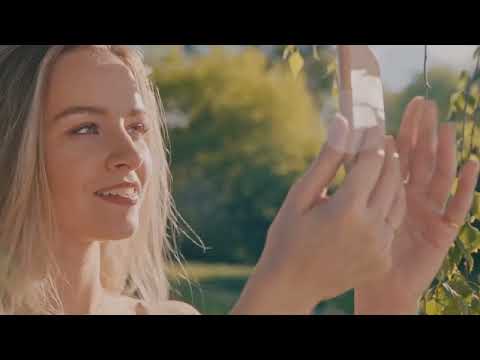 pensiunea dacica  boorod  romania