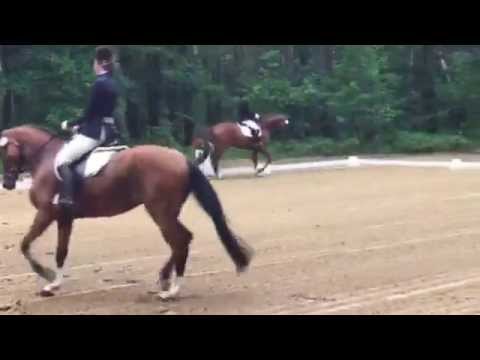 Wallach von Imperio-Diamond Hit, 2