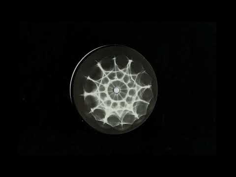 Tiago Walter - Hello Yoshi [HOER002]