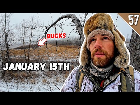JANUARY 15th DEER HUNT - (Public Land Bowhunting in the Late Season)