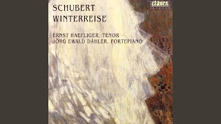 Winterreise D. 911, Op. 89: IX. Irrlicht