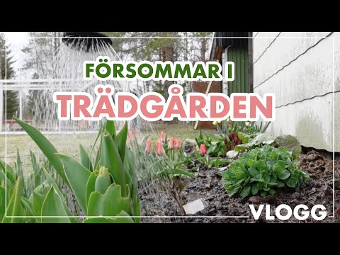 försommar i trädgården - häng med på sådd och utplantering!