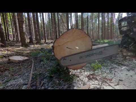 Der Stechschnitt #waldarbeitsicherheit