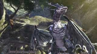 Видео 1 к игре Dragon's Prophet
