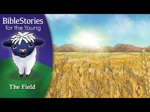 Day 252 The Field is the World Not the Church