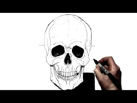 Skull Art Simple