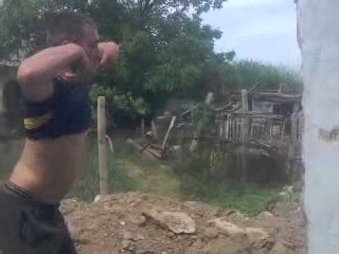 dulgher parvesti tat