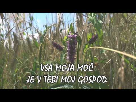 Moje vse si Ti - Slavilna skupina Veselje