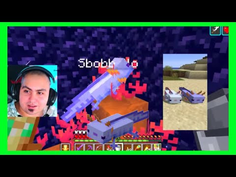 LYON TROVA L’AXOLOT PIÙ RARO DI MINECRAFT E NON SE NE ACCORGE IN LIVE!!🟪LiveTwitch DI LyonWGFLive🟧